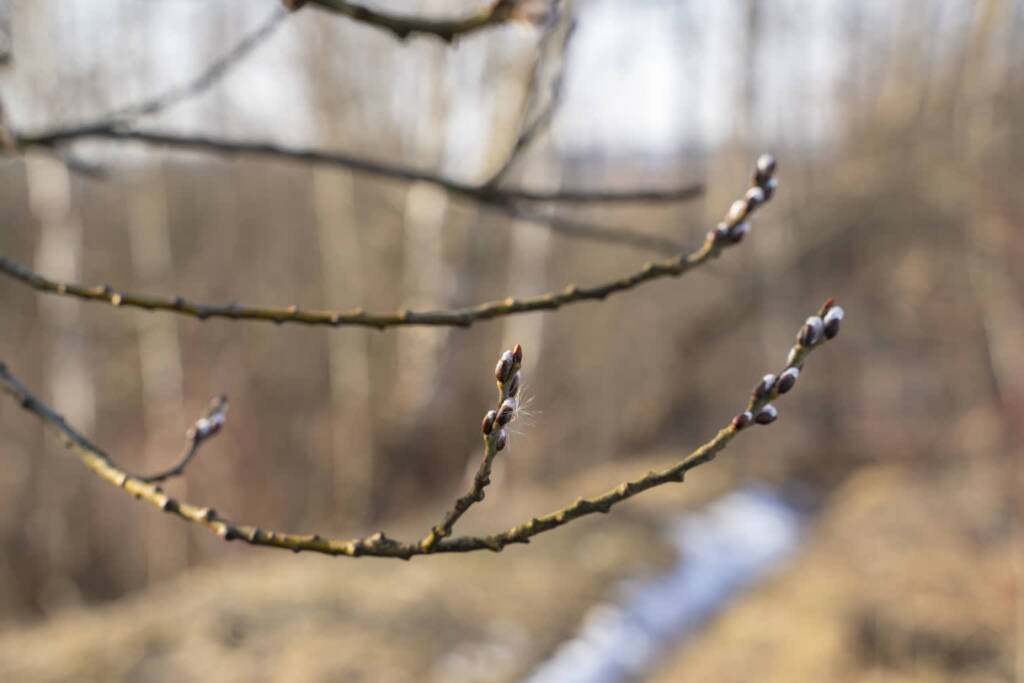 EAttachments9364161e9060add3a63a671e06f8d594dc2d4d0 xl