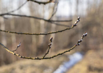 EAttachments9364161e9060add3a63a671e06f8d594dc2d4d0 xl