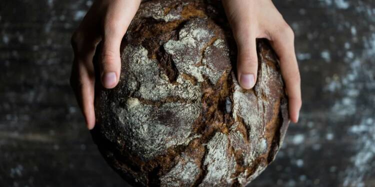 EAttachments9365100bdd53b86057d127e6bb4e3cd07fa31b0 xl