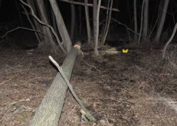 EAttachments93652802a8bea4d2e215c44fbc720cfe5ebbe70 xl 1024x680 1