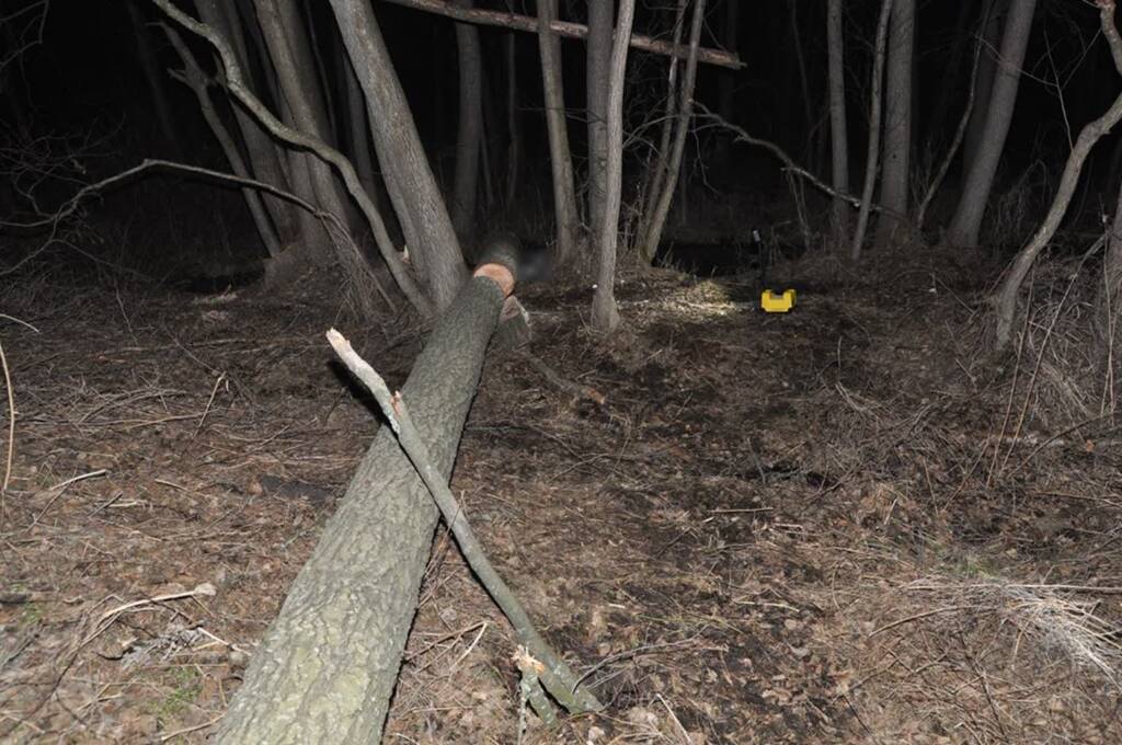 EAttachments93652802a8bea4d2e215c44fbc720cfe5ebbe70 xl