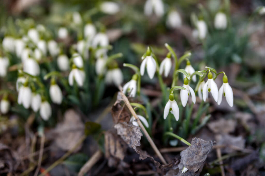 EAttachments9365752700895ca4be177d620ead0114a9540b0 xl