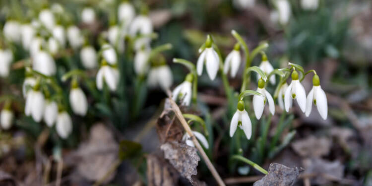 EAttachments9365752700895ca4be177d620ead0114a9540b0 xl