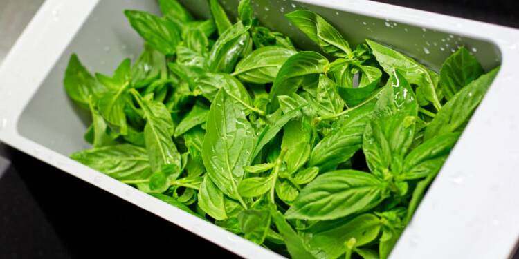 EAttachments9366915c8cd16d3734e0a63e5fdf2eb11593c31 xl