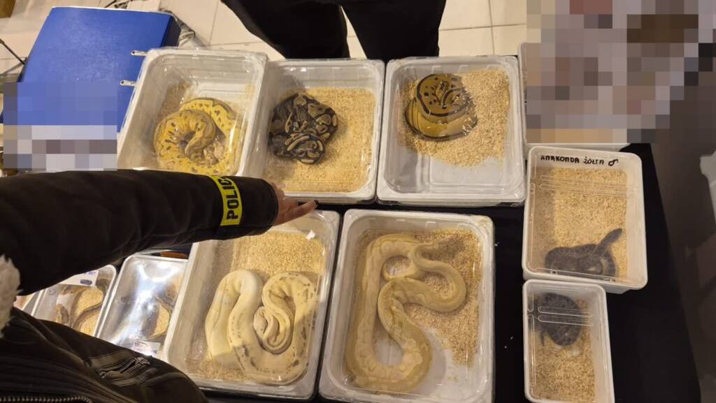 EAttachments9367328871172301561ad4c02793ef6527851fe xl