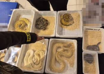 EAttachments9367328871172301561ad4c02793ef6527851fe xl