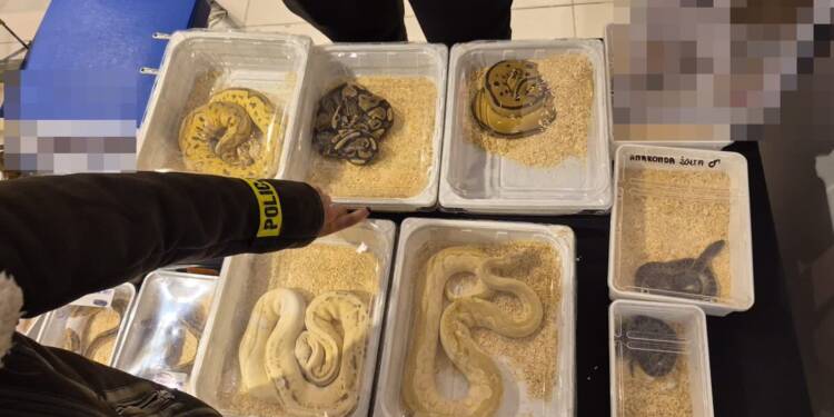 EAttachments9367328871172301561ad4c02793ef6527851fe xl