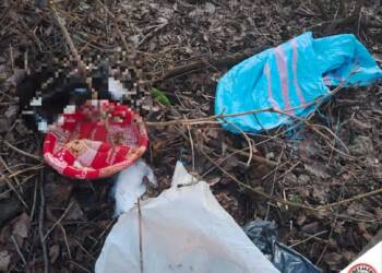 EAttachments93679607cd99868e32f94f011b29a936330c00f xl 1024x1006 1