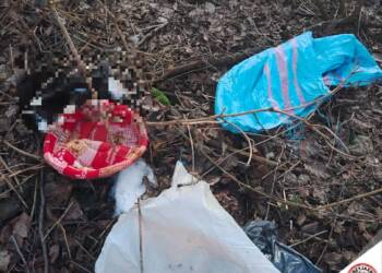 EAttachments93679607cd99868e32f94f011b29a936330c00f xl