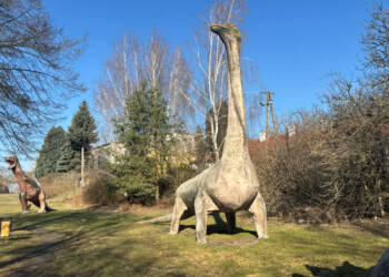 EAttachments93729350ac4acec6dcc92b483485b4f8305ce66 xl