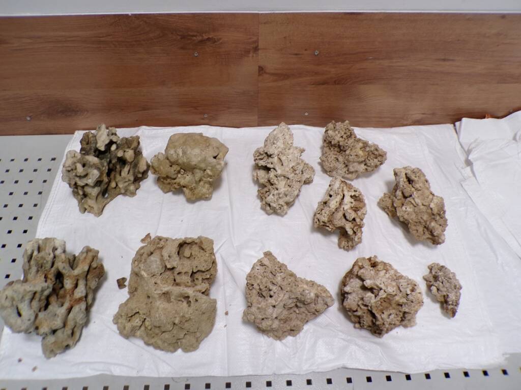 EAttachments93739659b66f844d39f49930e083e35ed15f4db