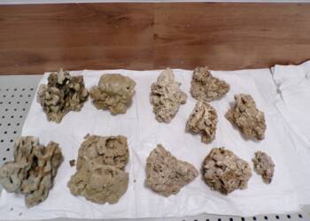 KODAK Digital Still Camera