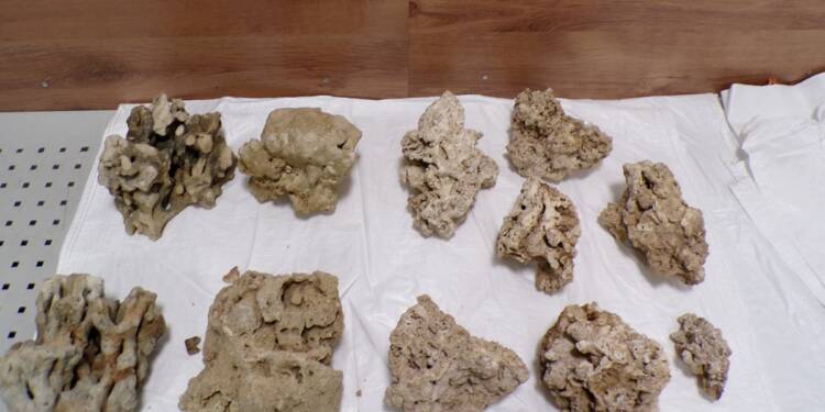 KODAK Digital Still Camera