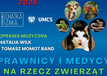 EAttachments937484595690d84426e5b39b16c7a93060ce329 xl