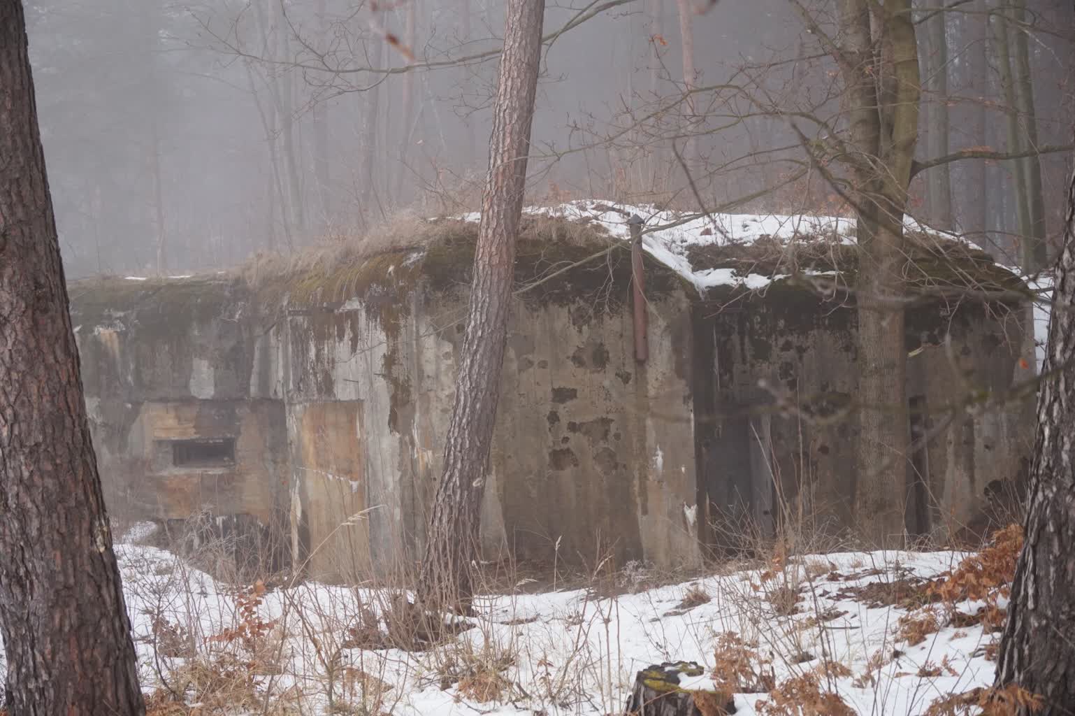 Zimowi mieszkańcy bunkrów. Policzyli nietoperze na Roztoczu 2 DSC06054.JPG