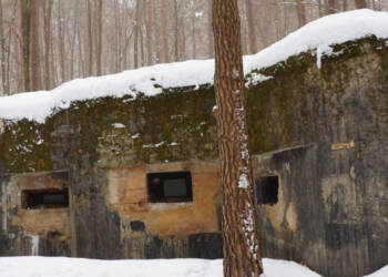 EAttachments93749331eee1b9b42f67f3dd2c413df2abc97fa xl 1024x576 1