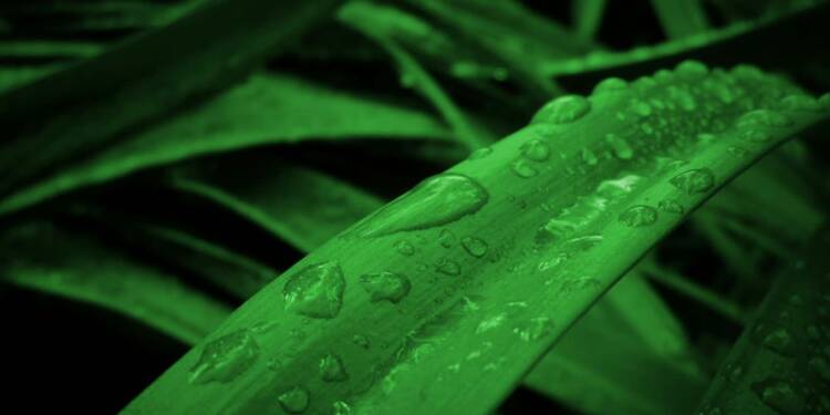 EAttachments93750038b83babb1e2014bf6b505b3e7e033259 xl