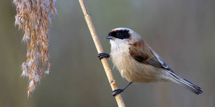 EAttachments9376018a556a95977a94ba67c0f3b773680e5a9 xl