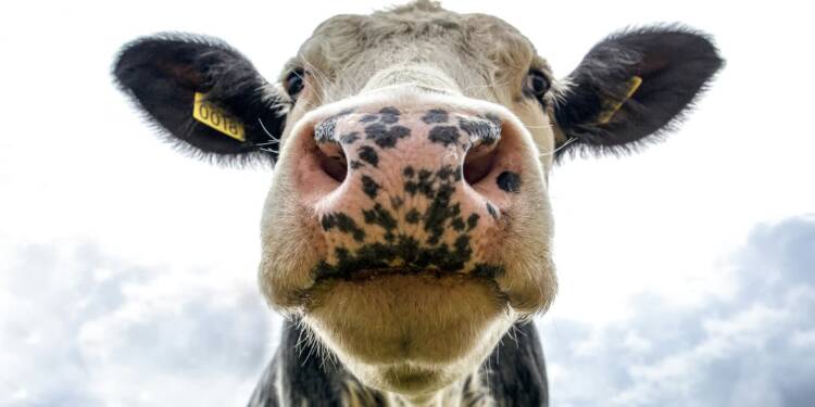 EAttachments937709863a56c158113ebf5b4b58e31c1030730 xl