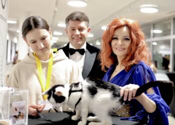 EAttachments93772202c5dd88b37e60e7c6409401c7fd38c42 xl