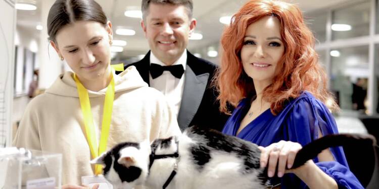 EAttachments93772202c5dd88b37e60e7c6409401c7fd38c42 xl