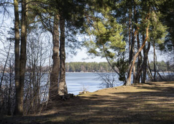 EAttachments9377731362f8e6b23ee7b0bd23dfe5a35071e98 xl