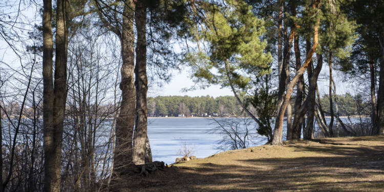 EAttachments9377731362f8e6b23ee7b0bd23dfe5a35071e98 xl