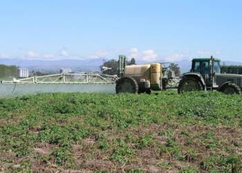 EAttachments9379403c57c8e5f58b3359c7e9bd25ad4da9dd1 xl 1024x650 1