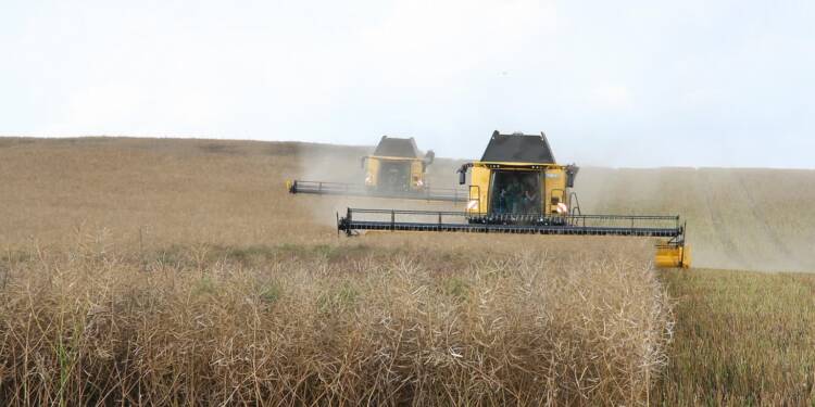 EAttachments9380507e5fb4d661883744ff1e5abdede4f476f xl