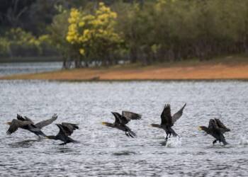 EAttachments938171964934dfbade14b69c095dc930329300d xl 1024x682 1