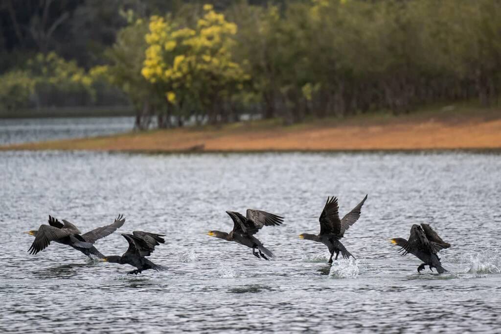 Przyroda budzi się do życia. Nasz reporter poszukuje oznak wiosny 5 EAttachments938171964934dfbade14b69c095dc930329300d xl