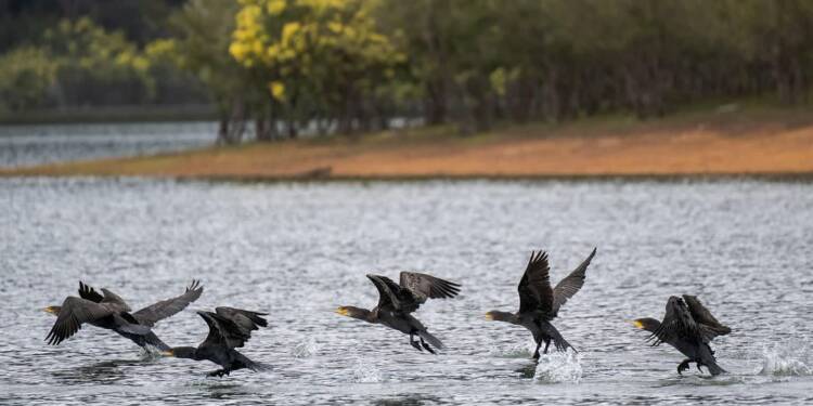 Przyroda budzi się do życia. Nasz reporter poszukuje oznak wiosny 1 EAttachments938171964934dfbade14b69c095dc930329300d xl