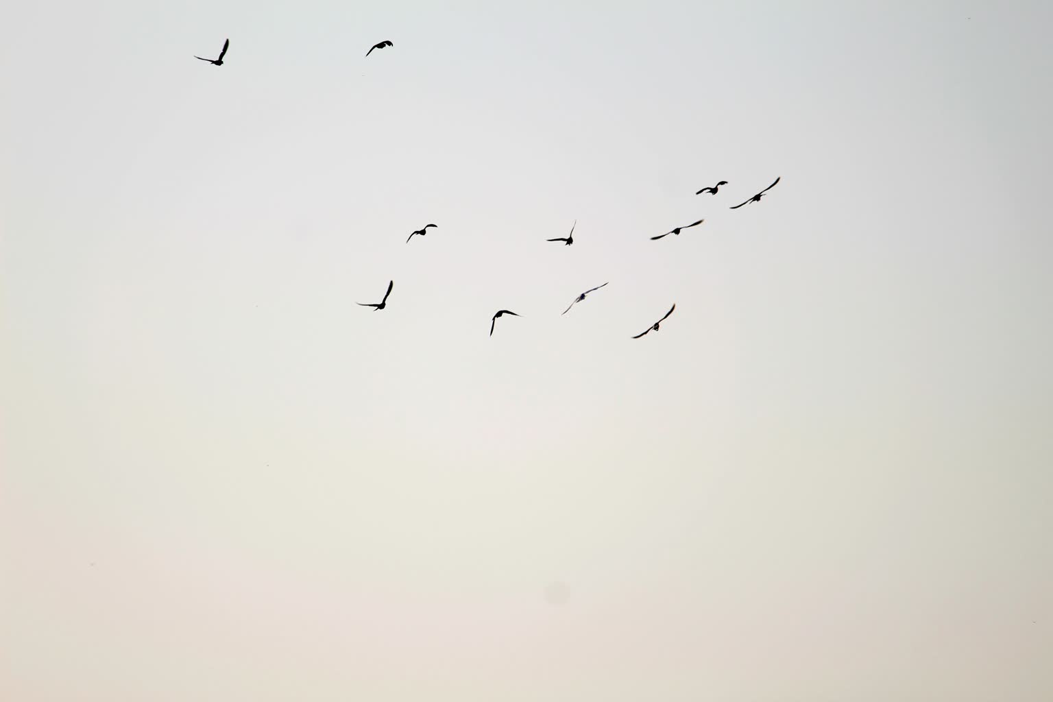 Przyroda budzi się do życia. Nasz reporter poszukuje oznak wiosny 4 pexels-upendrachahar-8011045.jpg