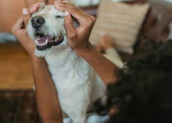 EAttachments9381762c5ce59cef785519503fdb71e446424b2 xl