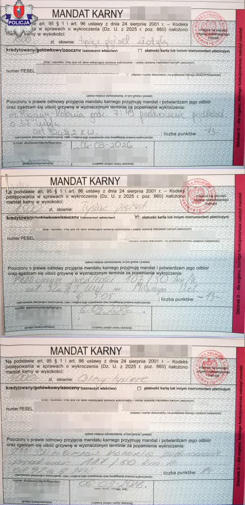 Nowe przepisy drogowe w akcji. Dwóch kierowców ukaranych przez zamojską drogówkę 1 361-286528.jpg