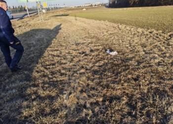 EAttachments93825599f8a1c64dd590756203967ff15805e27 xl 1024x768 1