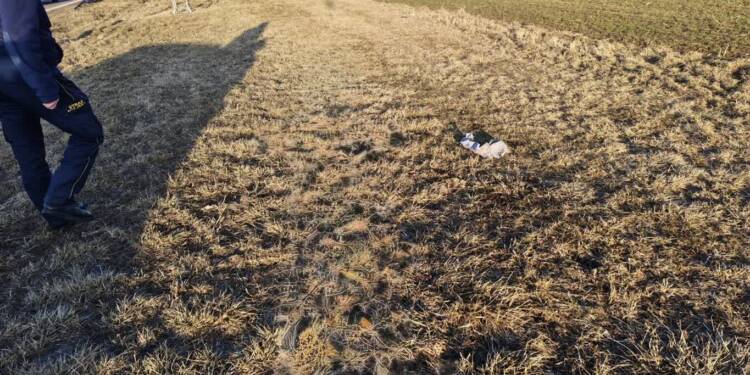 EAttachments93825599f8a1c64dd590756203967ff15805e27 xl