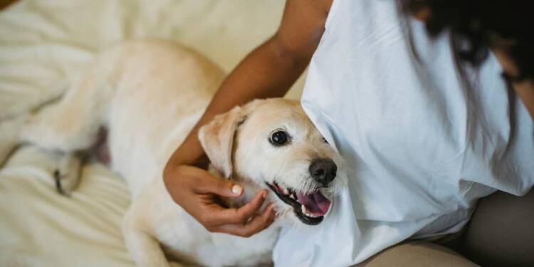 EAttachments93832072ee72f5fddd7b0fe4434d9a1f1f89caa xl