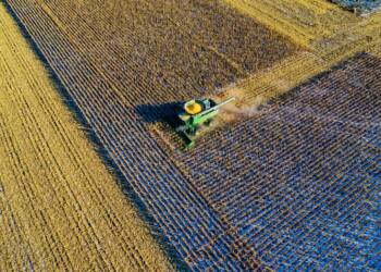 EAttachments938375542718759f89d04ab4f232f47a1a2b100 xl