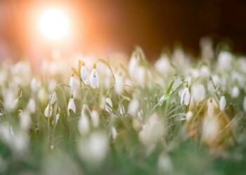 EAttachments938468258c0d92691b0cfef52488030d0721611 xl 1024x768 1