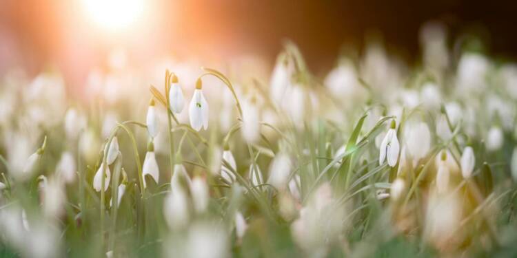 EAttachments938468258c0d92691b0cfef52488030d0721611 xl