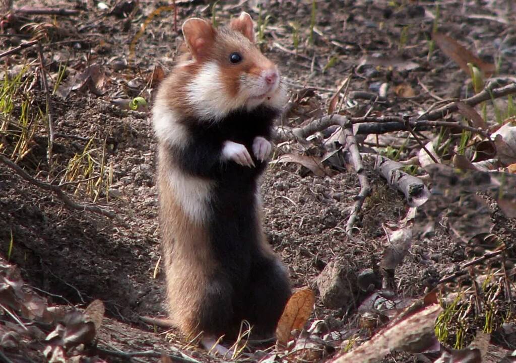 EAttachments9384903be60f96a509df1535aa440a77f22418f xl