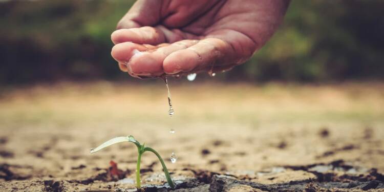 EAttachments9385751fd1720376c77705c259469d8cced99db xl 1