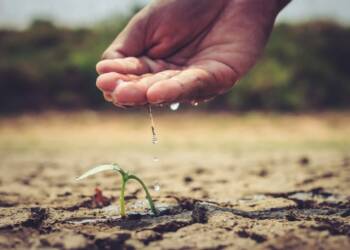 EAttachments9385751fd1720376c77705c259469d8cced99db xl