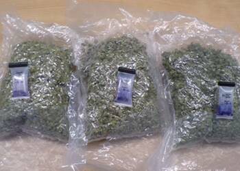 EAttachments938603919b9618fdfcae231d3b409e897dce3fb xl