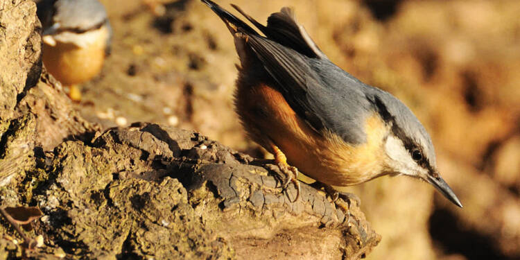 EAttachments9387522aa210d0f885b9ee767d37c8ac6309caa xl