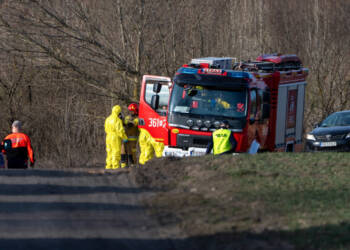 EAttachments93879678ade2ebada1c0d8412234c8f0fd58a2e xl