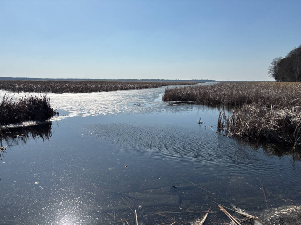 EAttachments938864865855f98a043a273aec981a8494123c8 xl