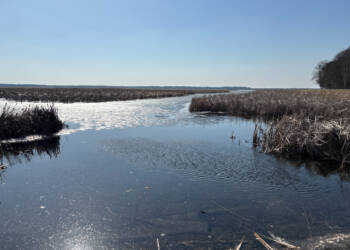 EAttachments938864865855f98a043a273aec981a8494123c8 xl