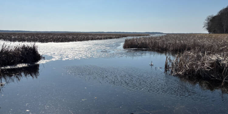 EAttachments938864865855f98a043a273aec981a8494123c8 xl